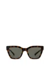 Saint Laurent Eyewear Sunglasses In Brown