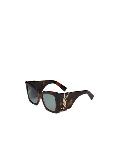 Saint Laurent Full Frame Sunglasses In Brown