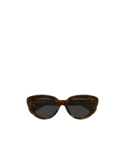 Saint Laurent Full-rim Sunglasses In Brown