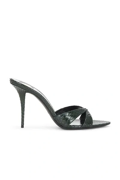 Saint Laurent Gippy Python Mule Sandal In Black