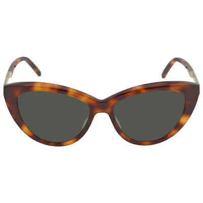 Pre-owned Saint Laurent Green Cat Eye Ladies Sunglasses Sl M81 003 55 Sl M81 003 55