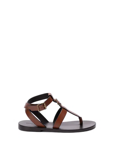 Saint Laurent `hardy` Flat Sandals In Brown
