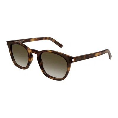 Saint Laurent Havana-havana-brown Acetate Sunglasses