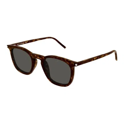 Saint Laurent Havana Havana Grey Acetate Sunglasses In Brown