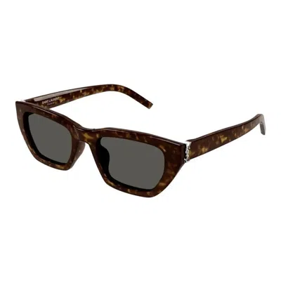 Saint Laurent Havana Havana Grey Acetate Sunglasses In Brown