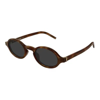 Saint Laurent Havana-havana-grey Acetate Sunglasses In Multi