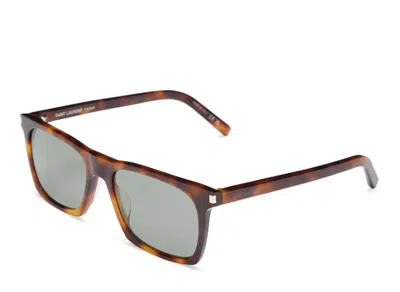 Pre-owned Saint Laurent In Case With Tags  Havana/green Sl 455 002 56 19-145 Sunglasses
