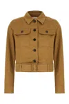 Saint Laurent Dark Beige Cropped Jacket With Belt Women In Chatain