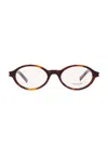 Saint Laurent Jeanne Oval-framed Acetate Glasses In Havana & Transparent