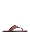 Saint Laurent Kouros Flat Sandal In Aesthetic Brown