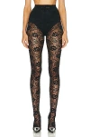 Saint Laurent Lace Legging In Noir