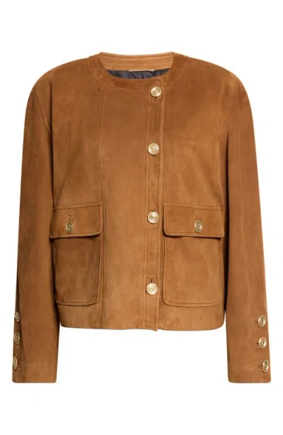 Saint Laurent Lambskin Suede Jacket In Brown