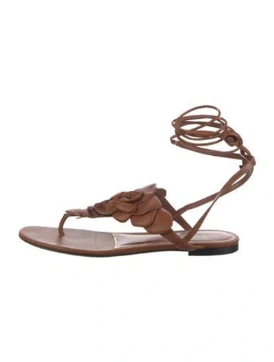 Pre-owned Saint Laurent Leather Gladiator Sandals In Brown