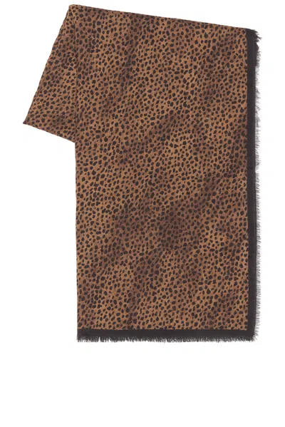 Saint Laurent Leopard Grand Carre Scarf In Brown