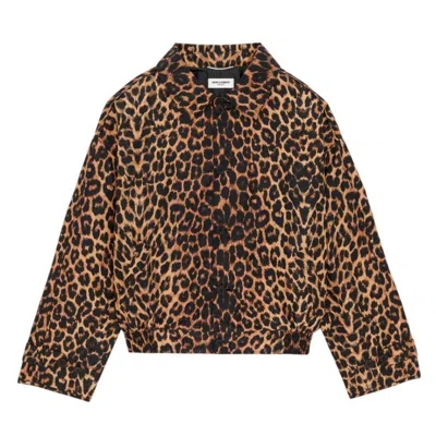 Saint Laurent Leopard Print Harrington Jacket In Brown