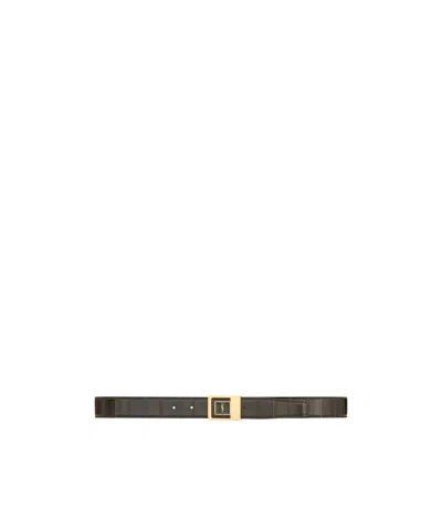 Saint Laurent Logo Belt In Multi