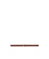 Saint Laurent Logo Belt In Plant Brown