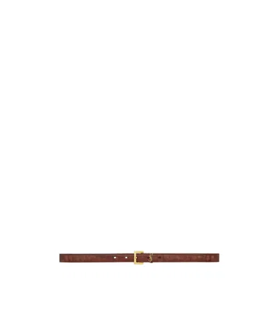 Saint Laurent Logo Belt In Plant Brown