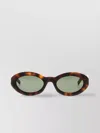 Saint Laurent Round Sunglasses Sl M136 Havana Women