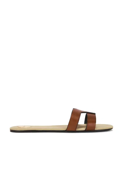 Saint Laurent Mabrouka Slide In Brown