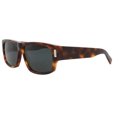 Saint Laurent Men's Sunglasses In Brown