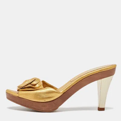 Pre-owned Saint Laurent Metallic Gold Leather Najda Rosette Platform Sandals Size 36