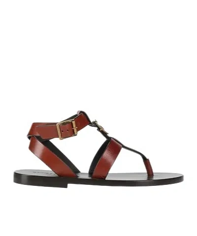 Saint Laurent Minimalist Strappy Sandals In Brown