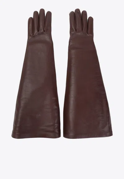 Saint Laurent Nappa Leather Long Gloves In Brown