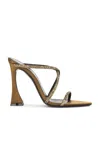 Saint Laurent Gippy Sandal In Kakcrstlgh