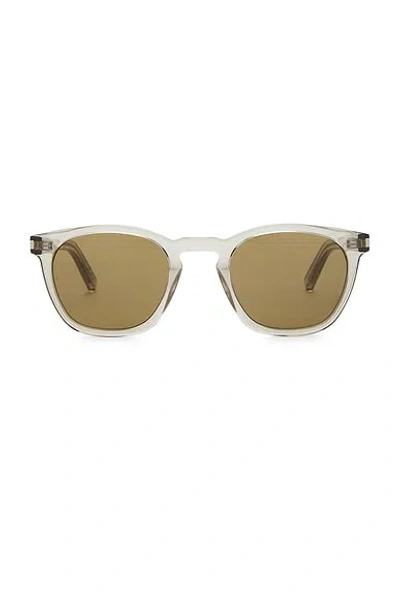 Saint Laurent Oval Sunglasses In Beige & Brown