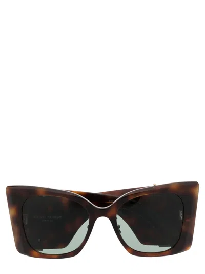 Saint Laurent Oversized Cat-eye Sunglasses In Brown