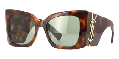 Pre-owned Saint Laurent Oversized Sunglassesblaze002) In Havana/green (sl/m119