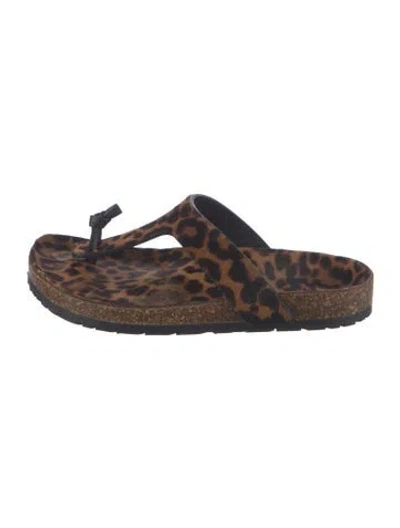 Pre-owned Saint Laurent Ponyhair Animal Print Flip Flops In Brown