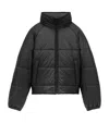 Saint Laurent Cassandre Padded And Quilted Nylon Jacket In Black