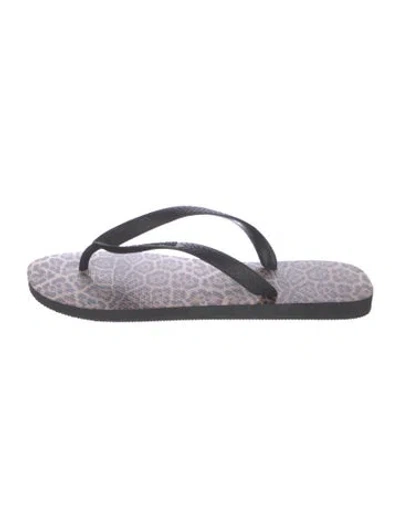 Pre-owned Saint Laurent Rubber Animal Print Flip Flops In Multicolor
