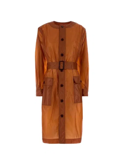 Saint Laurent Saharienne Belted Button-down Midi Dress In Brown
