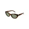 Saint Laurent Sl M115 Linea Monogram 003 Havana Green Sunglasses In Brown