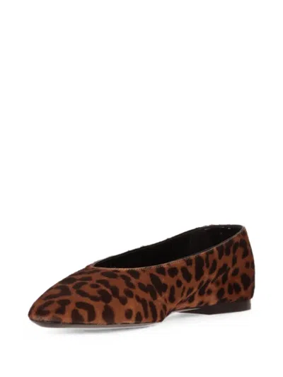 Saint Laurent Sao Leopard-print Ballet Flats In Brown