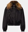 Saint Laurent Convertible Shearling Collar Jacket In Black