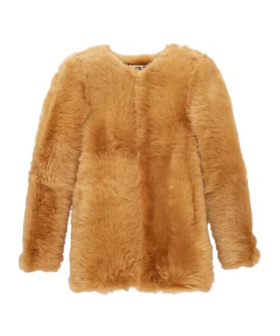 Saint Laurent Sheep Fur Short Fur In Brown