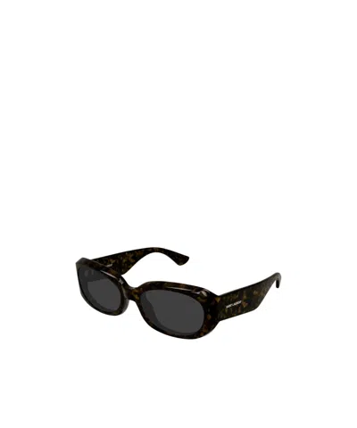 Saint Laurent Havana-havana-grey Bio Injected Sunglasses In Brown
