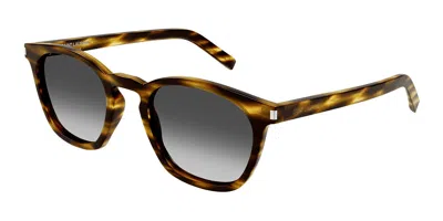 Saint Laurent Sl 28 045 Men's Sunglasses Tortoiseshell Size 49 In Multi