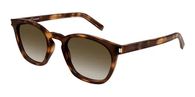Saint Laurent Sl 28 048 Men's Sunglasses Tortoiseshell Size 49 In Transparent
