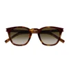 Saint Laurent Sl 28 Linea Corner Angle 048 Havana Brown Sunglasses In Brown