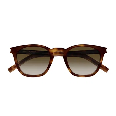 Saint Laurent Sl 28 Linea Corner Angle 048 Havana Brown Sunglasses