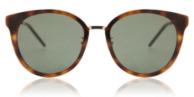 Saint Laurent Sl 446/f Slim Asian Fit 003 Men's Sunglasses Tortoiseshell Size 55 In Pink