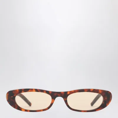 Saint Laurent Sl 557 Shade Havana Sunglasses In Multi