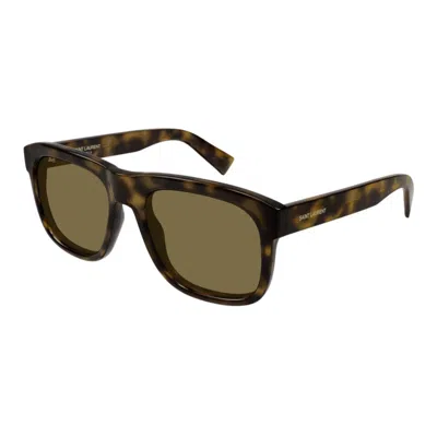 Saint Laurent Sl 558012 Havana Havana Brown In Multi