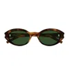 Saint Laurent Sl 567 Linea Corner Angle 002 Havana Green Sunglasses In Brown