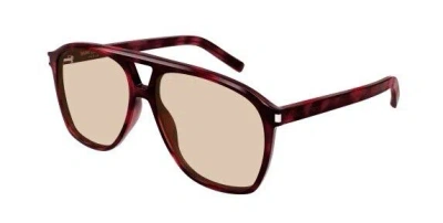 Pre-owned Saint Laurent Sl 596 Dune 003 Havana/brown Browline Women's Sunglasses